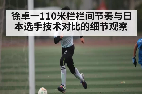 徐卓一110米栏栏间节奏与日本选手技术对比的细节观察